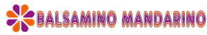 partner 6